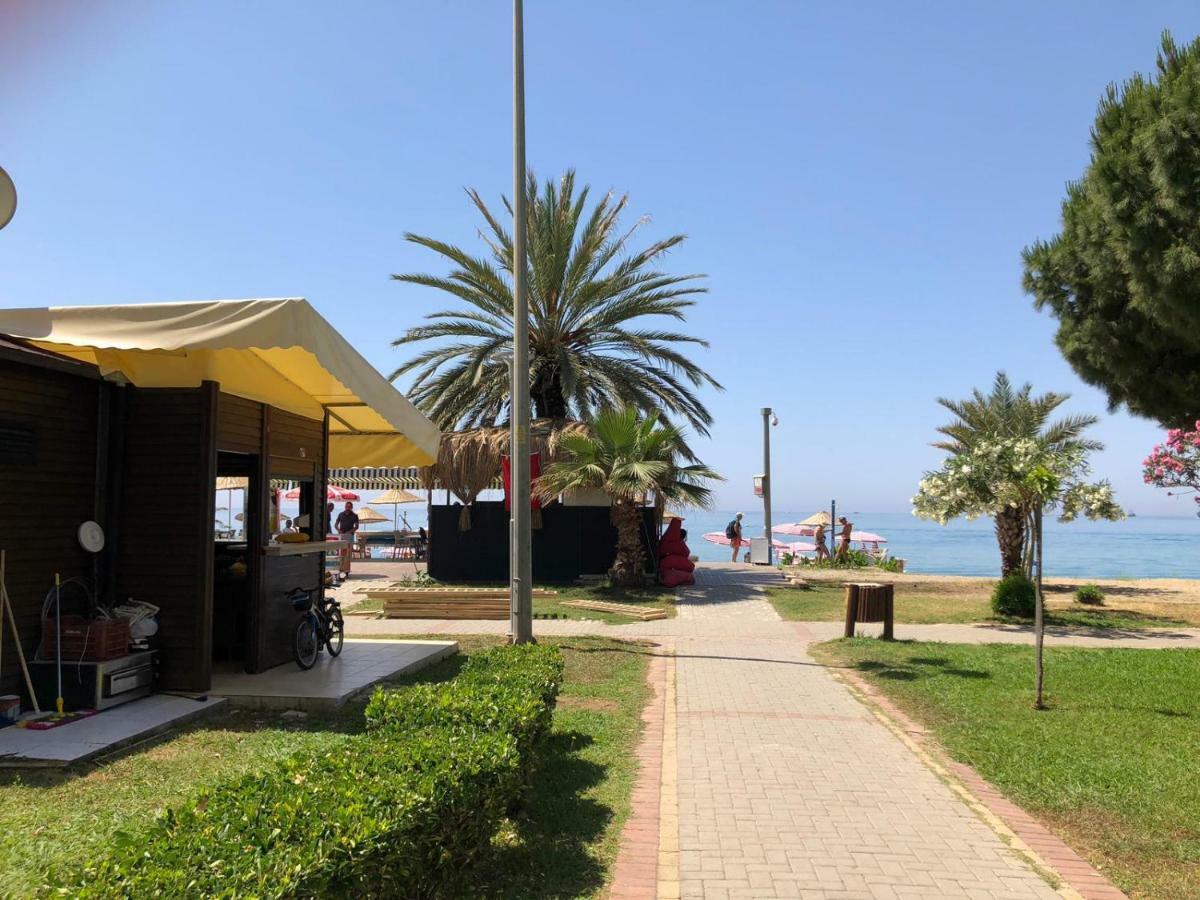 Arsi Enfi City Beach Hotel Alanya Exterior foto